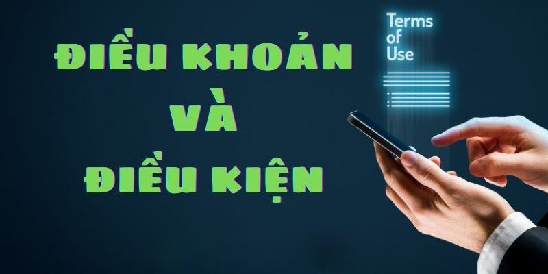 Những lý do mà bạn cần hiểu rõ về điều khoản và điều kiện